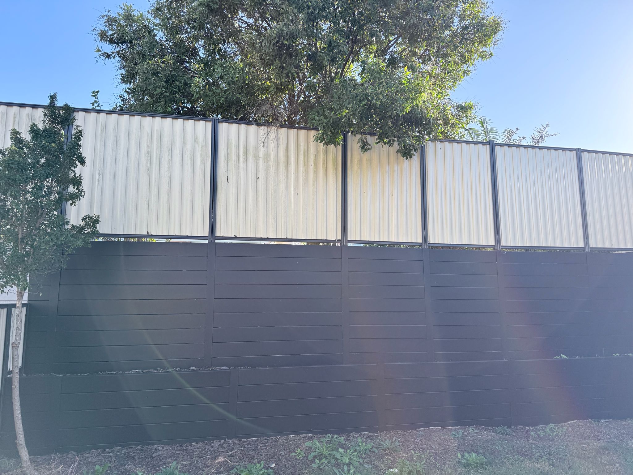 Close-up of freshly painted colorbond fence — dark charcoal professional finish